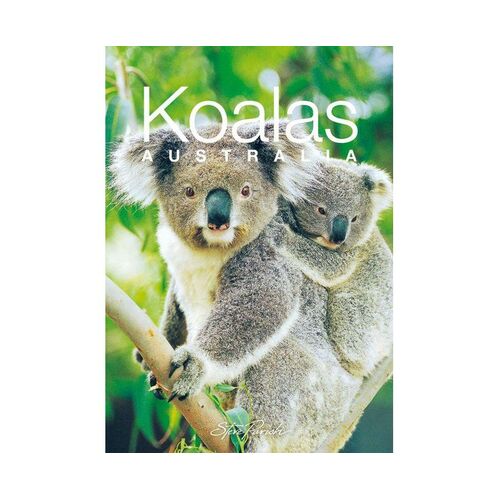 MINI SOUVENIR BOOK: KOALAS, AUSTRALIA