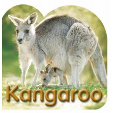 Board Book: Kangaroo