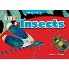 First Facts: Insects - Rr 18