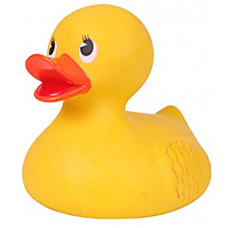 Giant Yellow Floating Duck 8in